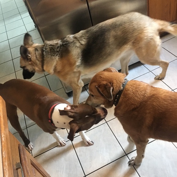 Meet your Posher, Kristen - Picture 6 of 6